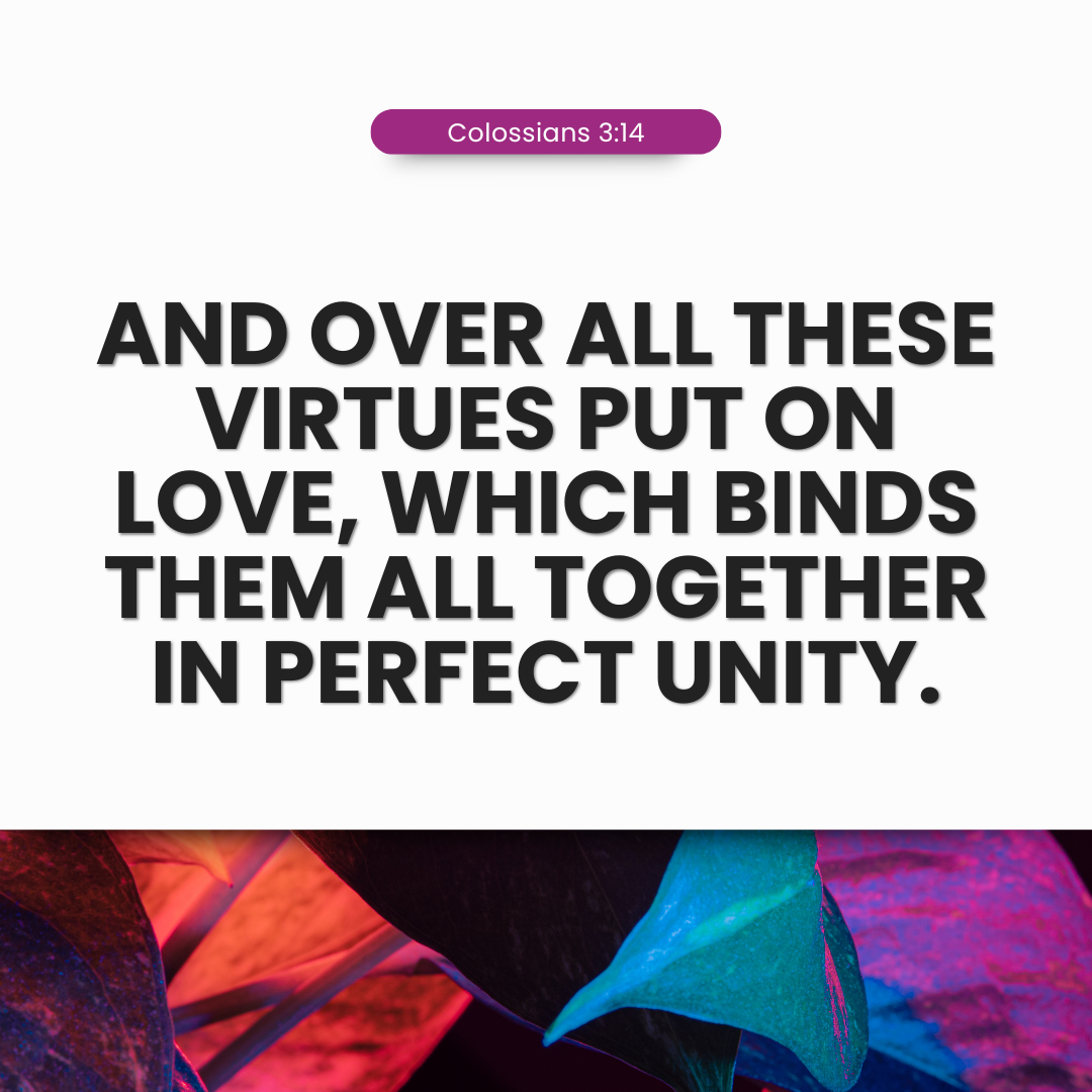 Colossians 3:14