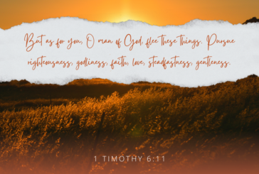 1 Timothy 6:11