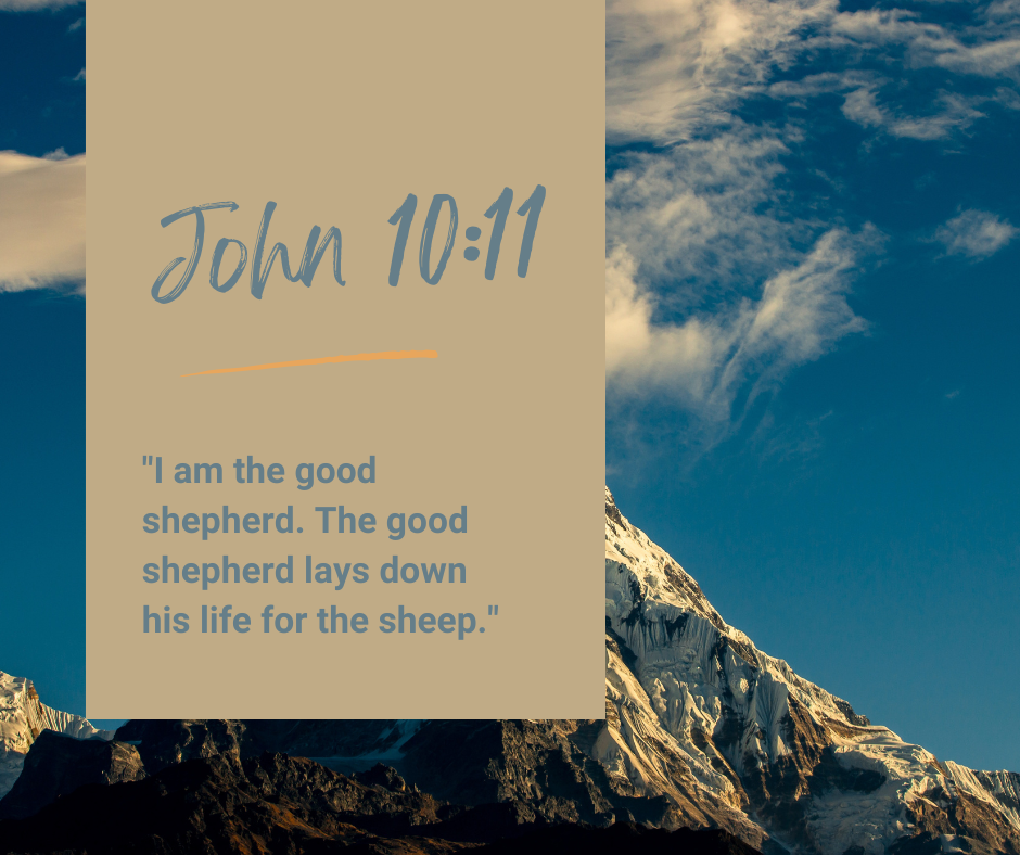 John 10:11
