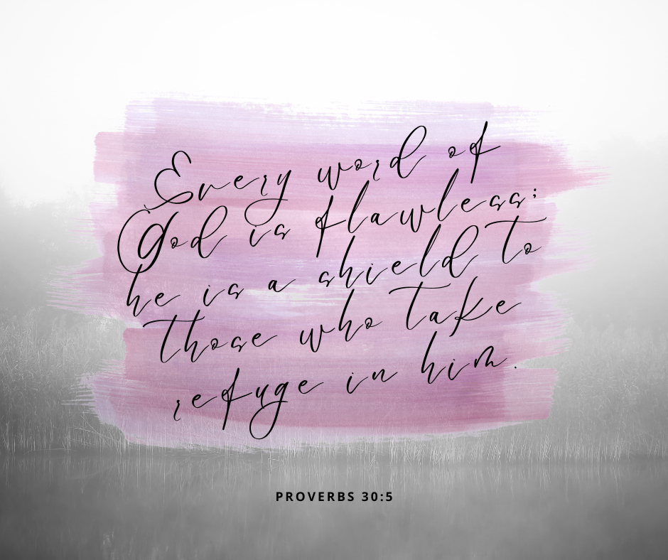 Proverbs 30:5