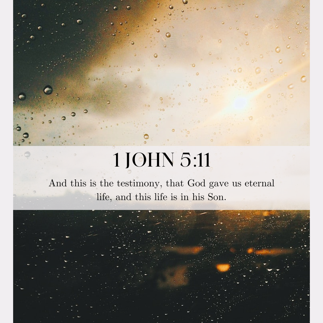 1 John  5:11