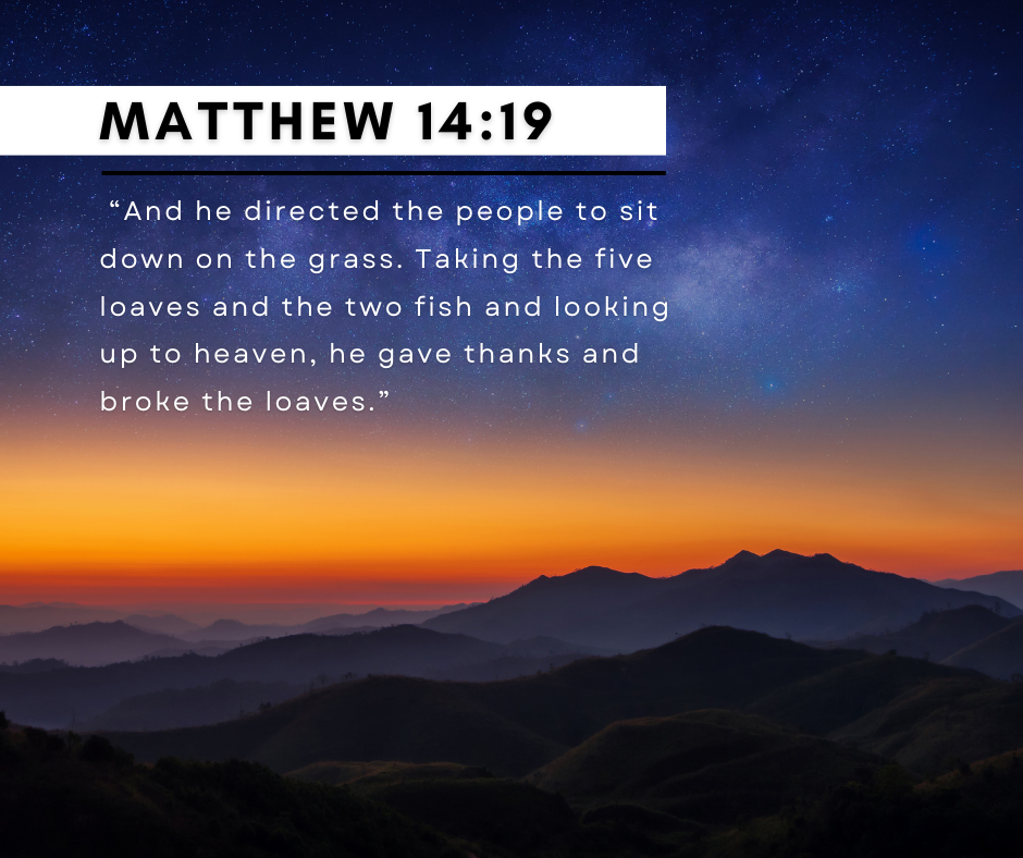 Matthew 14:19