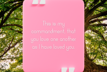 John 15:12