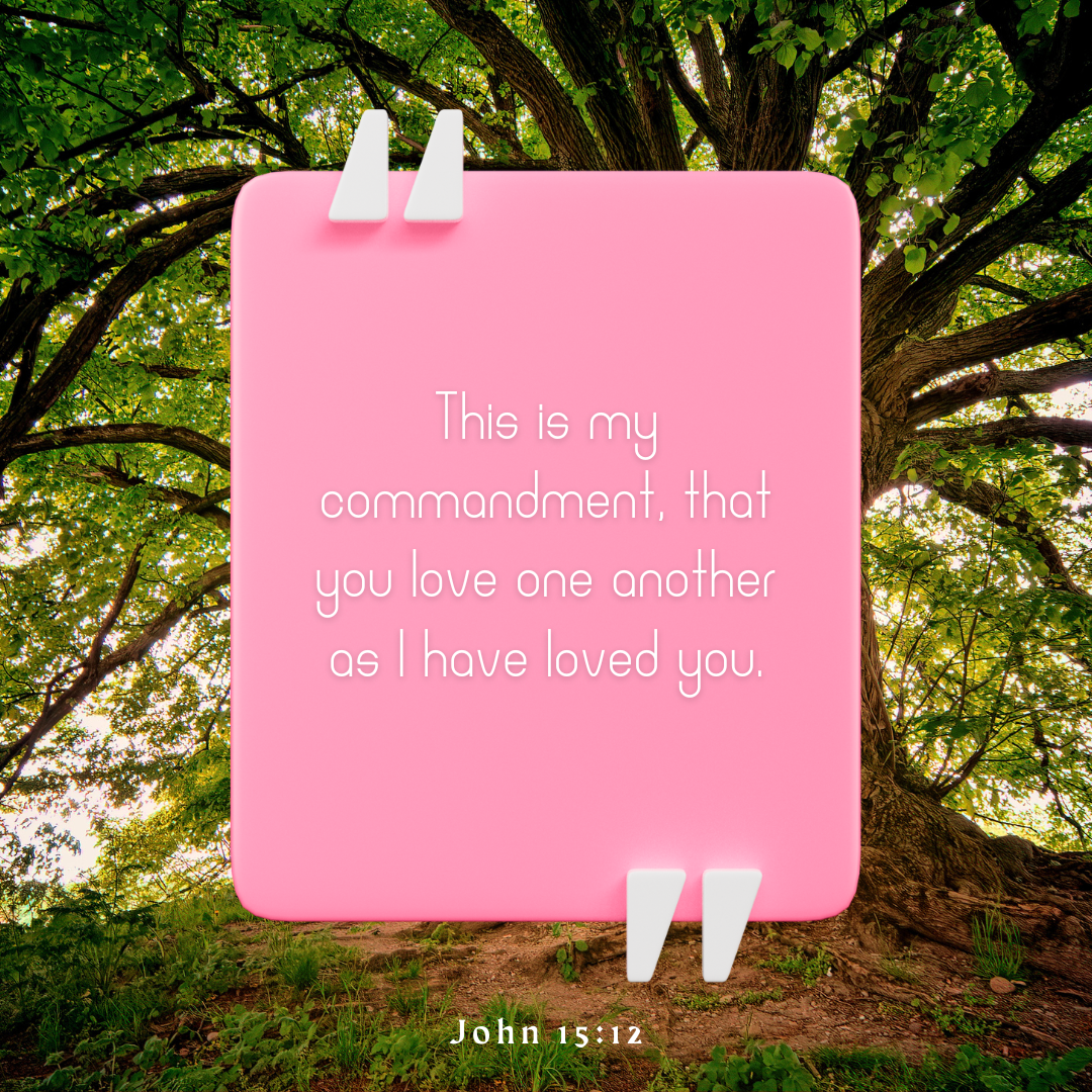 John 15:12