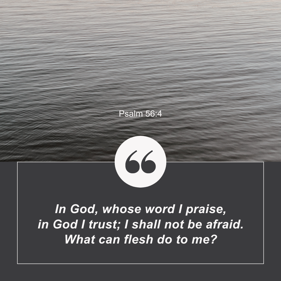 Psalm 56:4