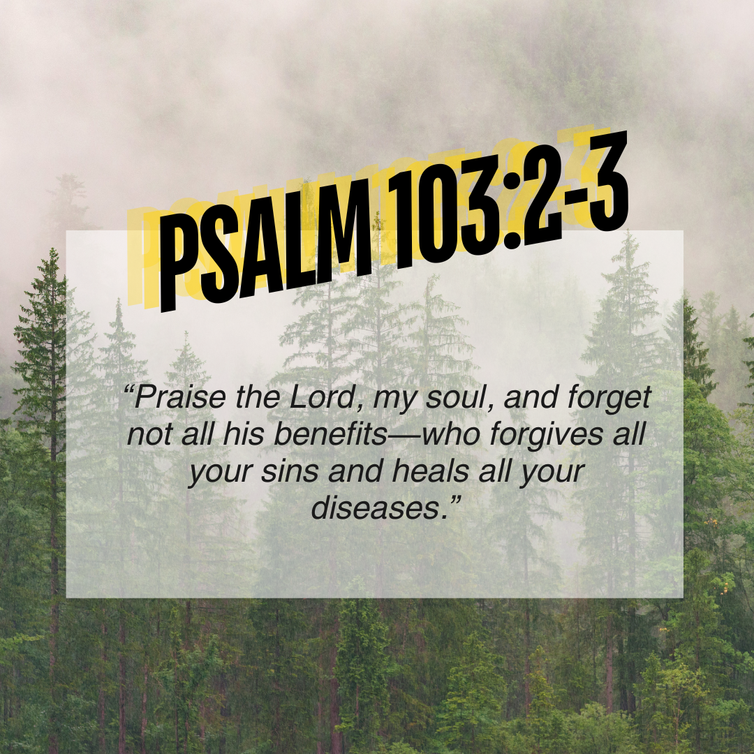 Psalm 103:2-3