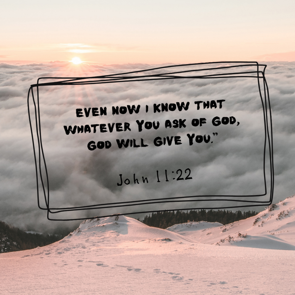 John 11:22