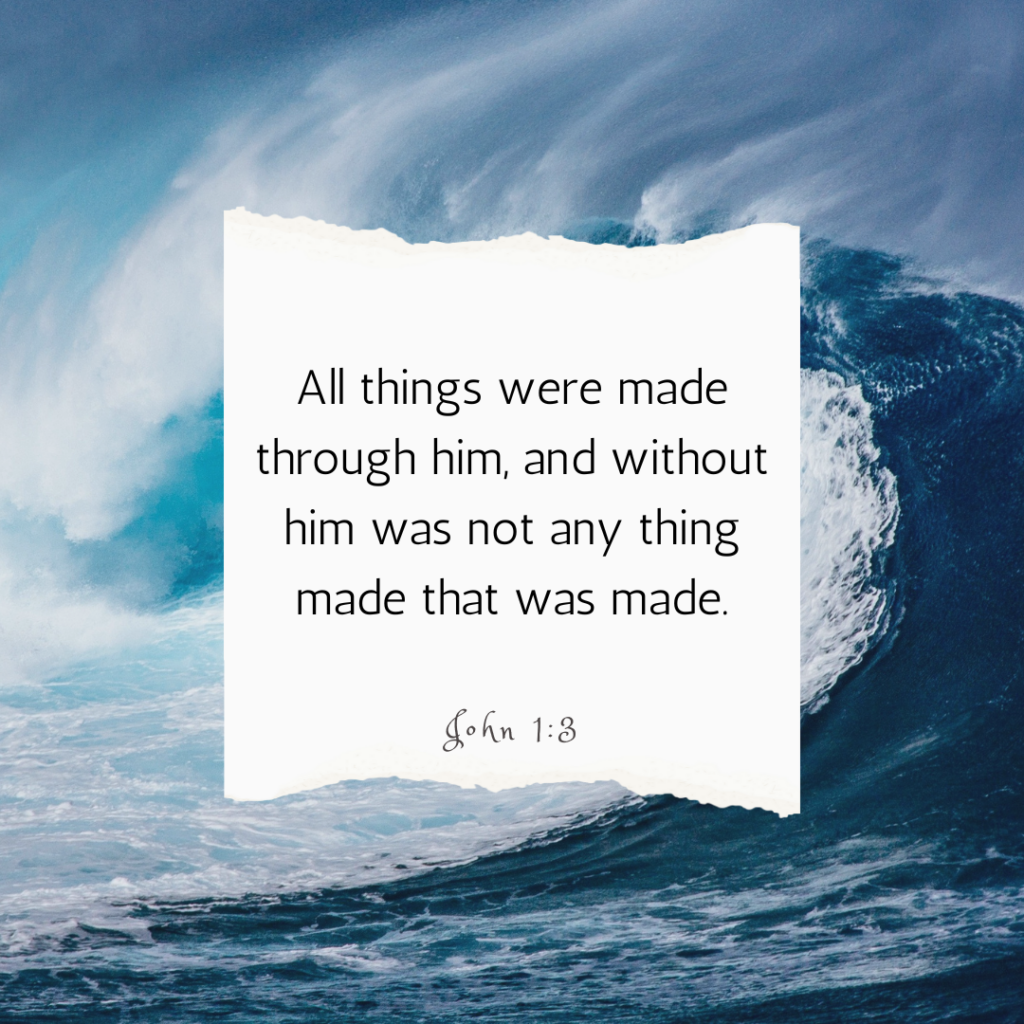 John 1:3