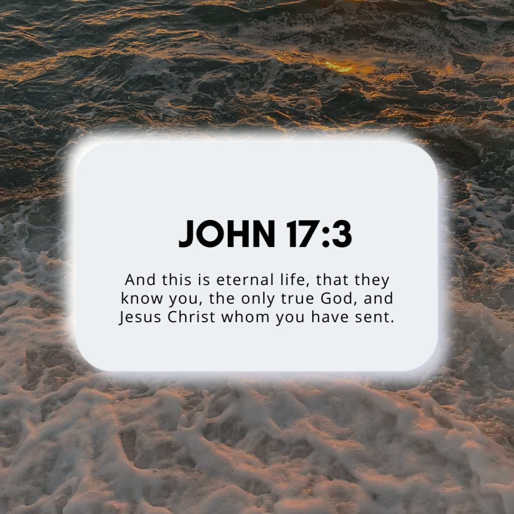 John 17:3