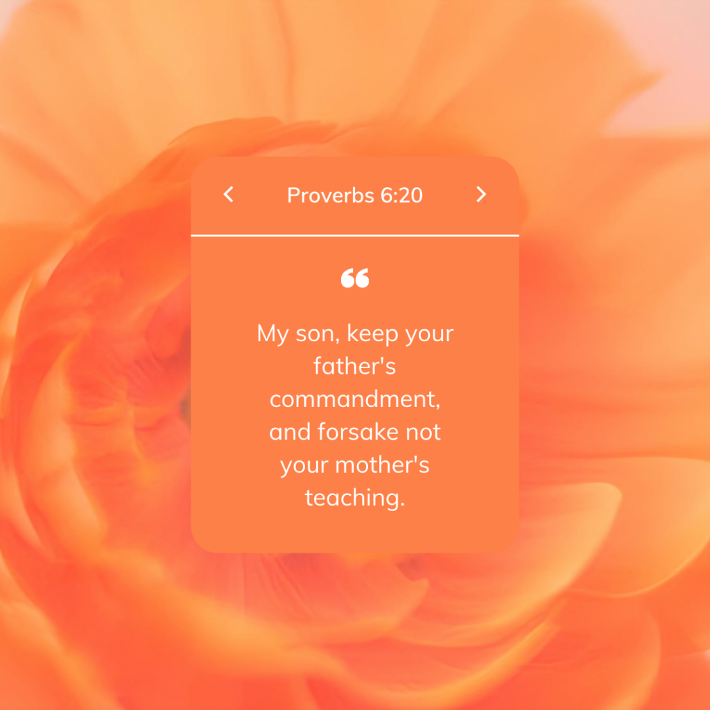 Proverbs 6:20