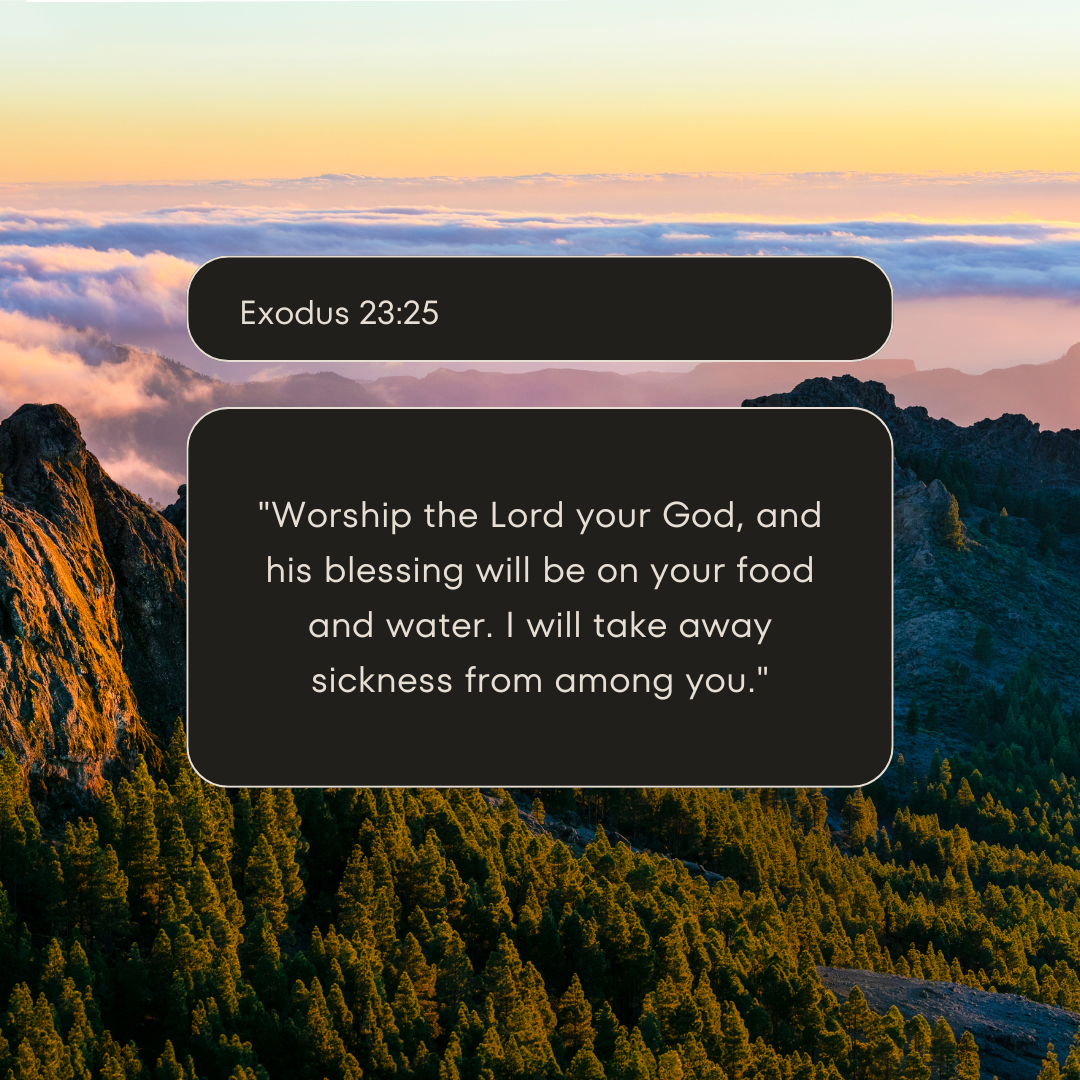 Exodus 23:25