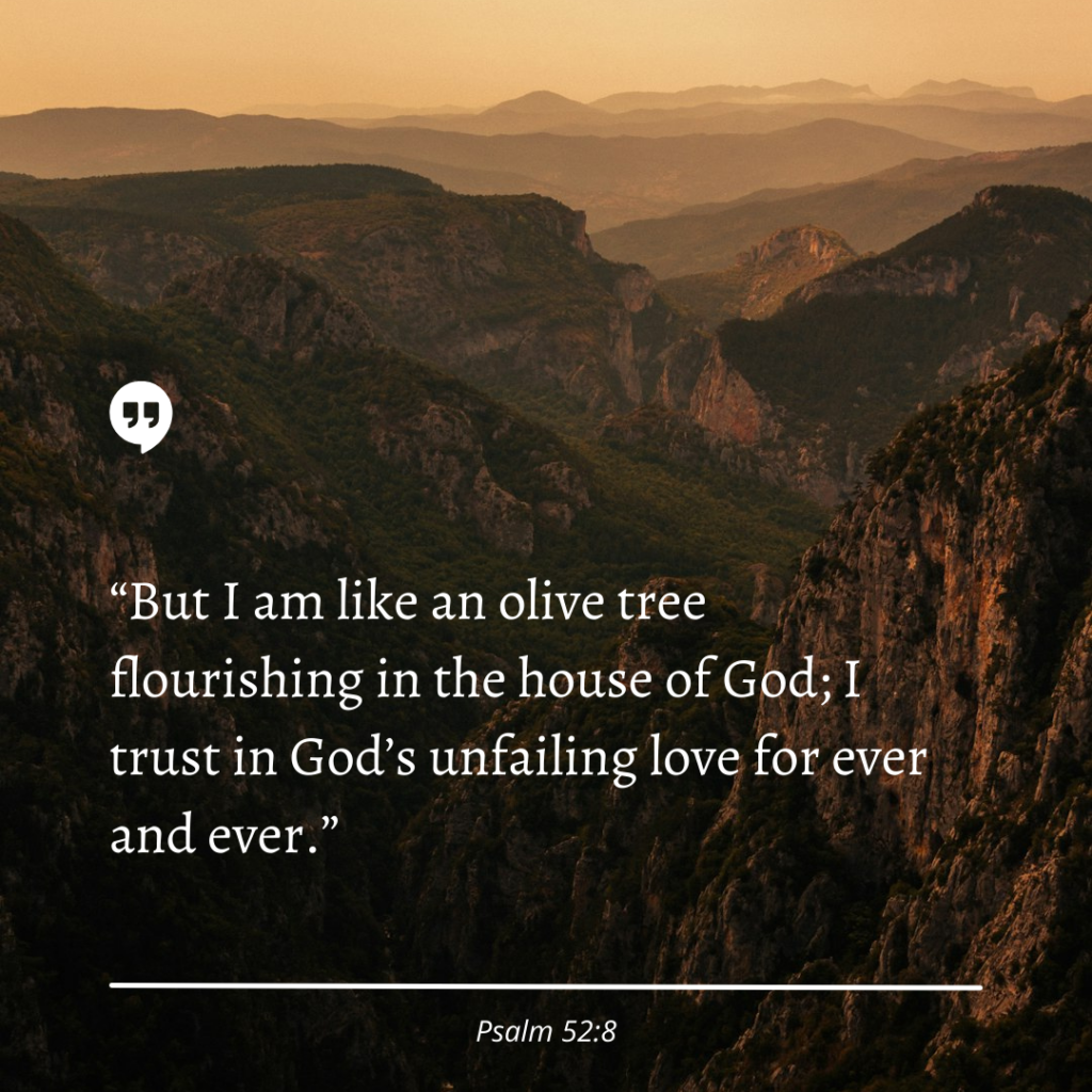 Psalm 52:8