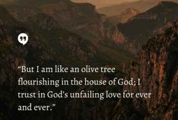 Psalm 52:8