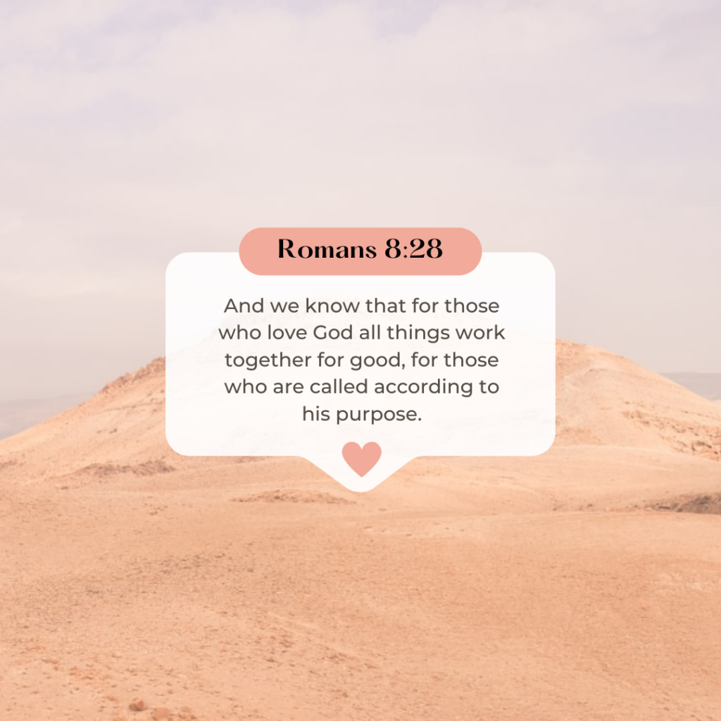 Romans 8:28
