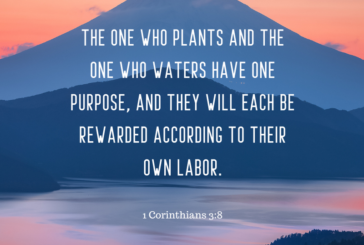 1 Corinthians 3:8