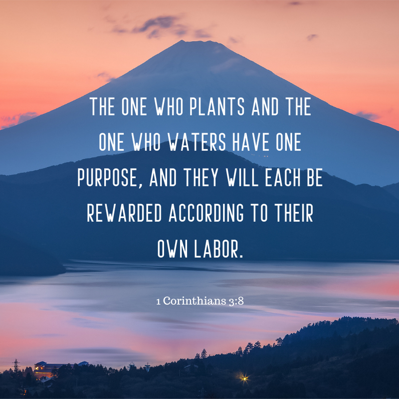 1 Corinthians 3:8