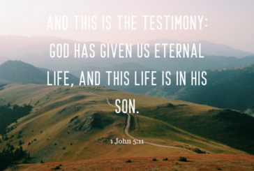 1 John 5:11