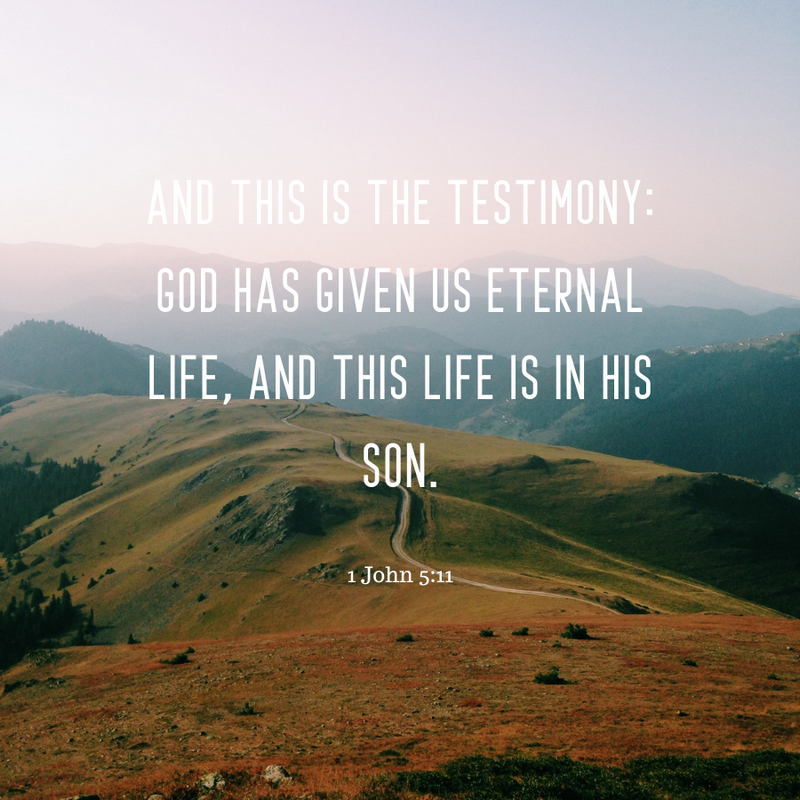 1 John 5:11