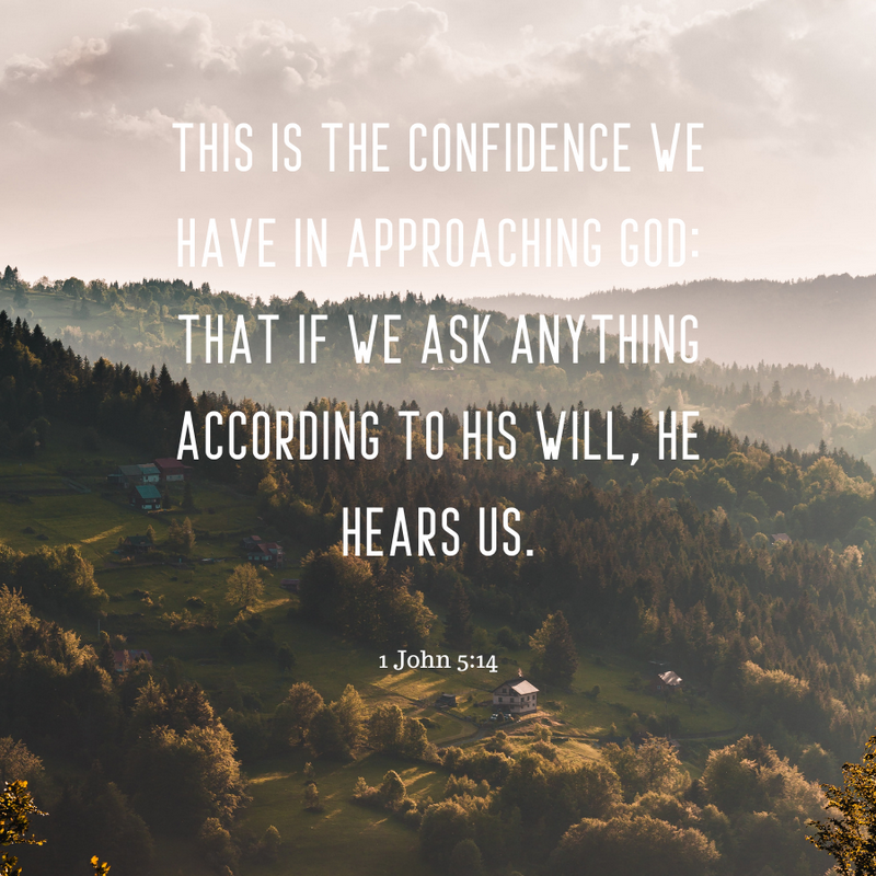 1 John 5:14