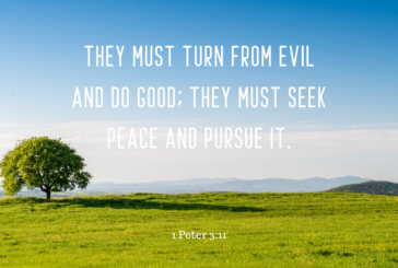 1 Peter 3:11