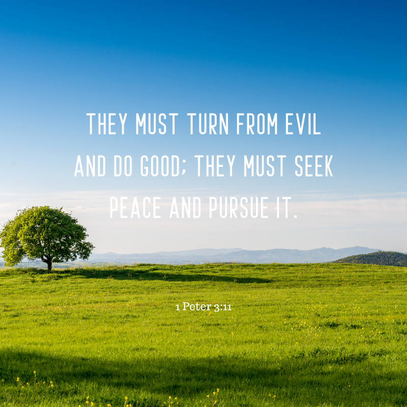 1 Peter 3:11