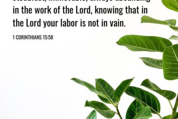 1 Corinthians 15:58