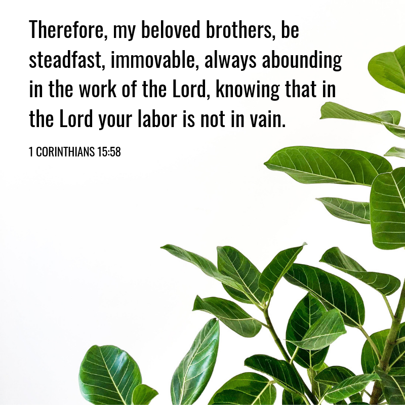 1 Corinthians 15:58