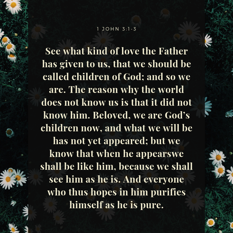 1 John 3:1-3