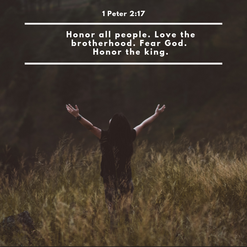 1 Peter 2:17