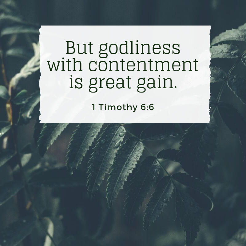 1 Timothy 6:6