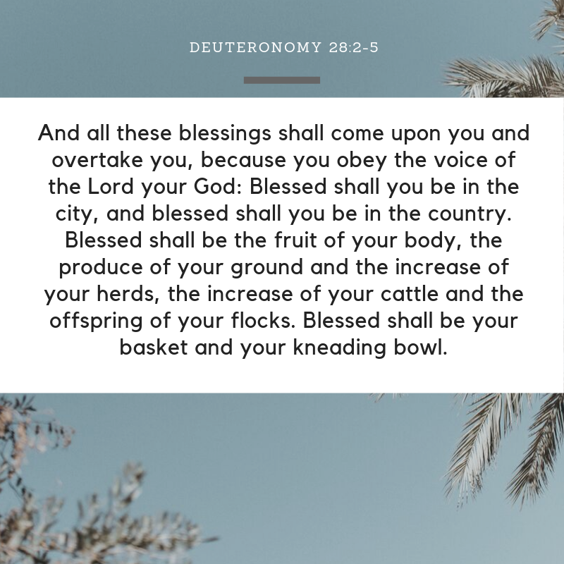 Deuteronomy 28:2-5