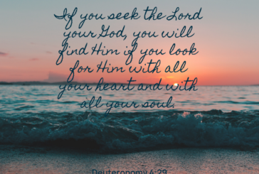 Deuteronomy 4:29