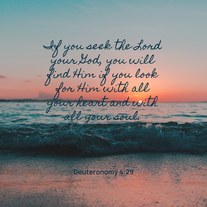 Deuteronomy 4:29