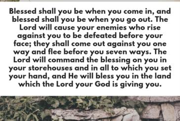 Deuteronomy 28:6-8