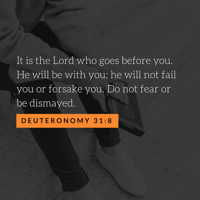 Deuteronomy 31:8