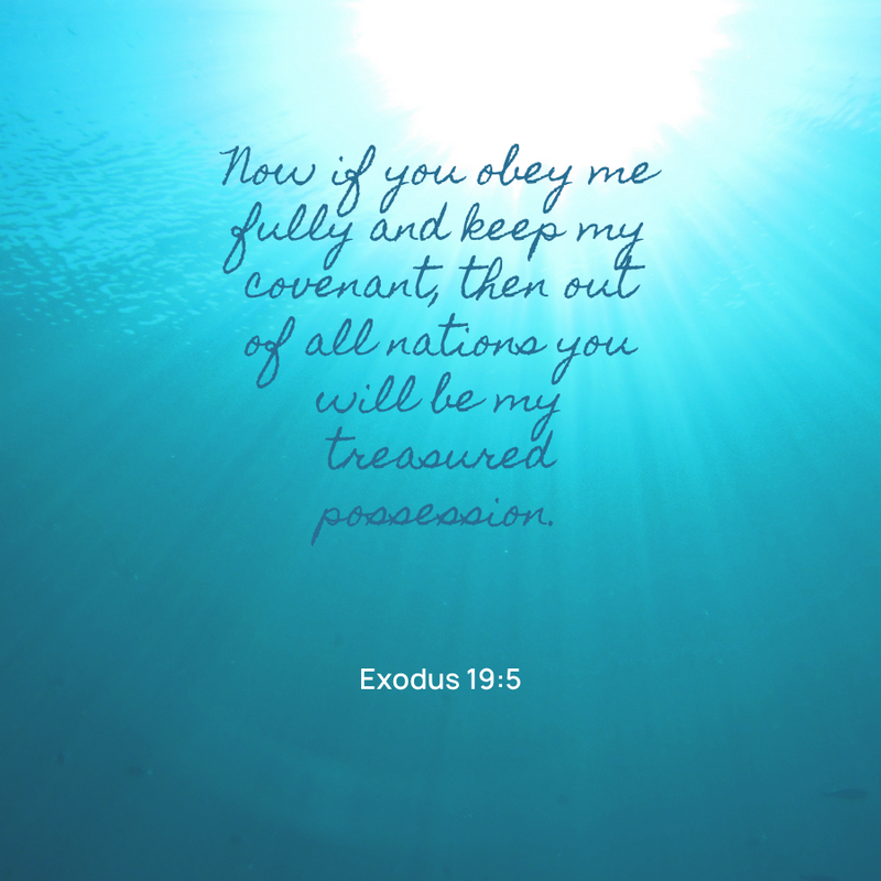 Exodus 19:5