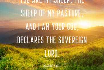 Ezekiel 34:31   