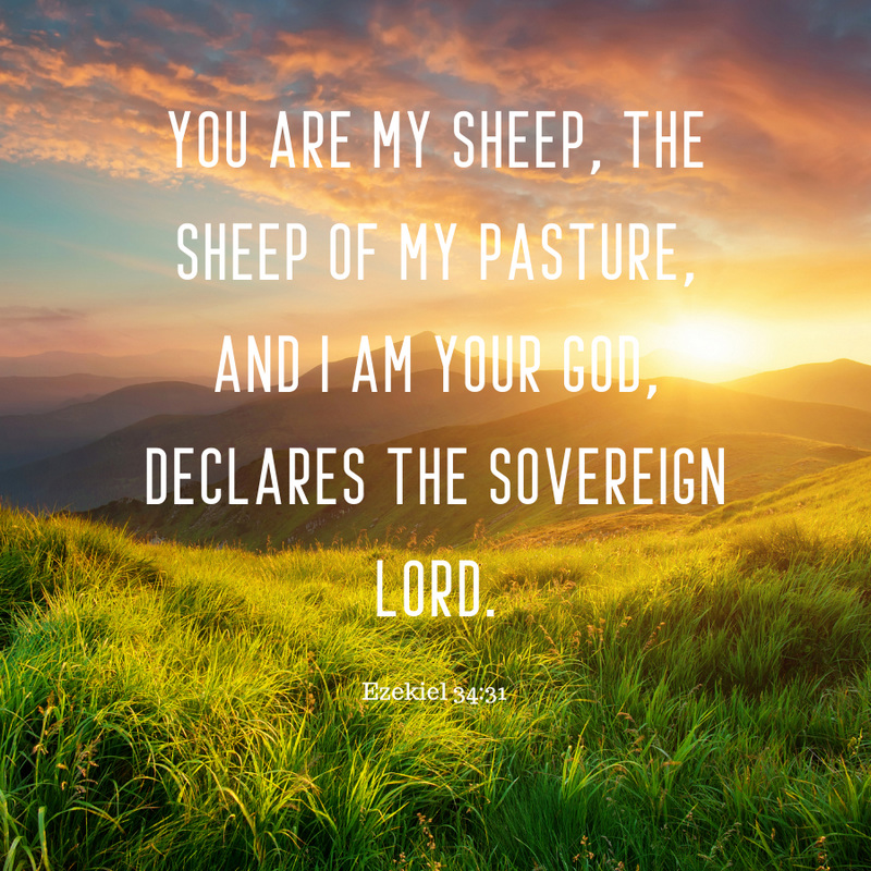 Ezekiel 34:31   