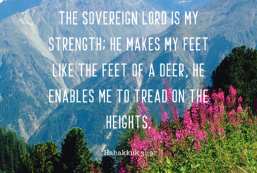 Habakkuk 3:19