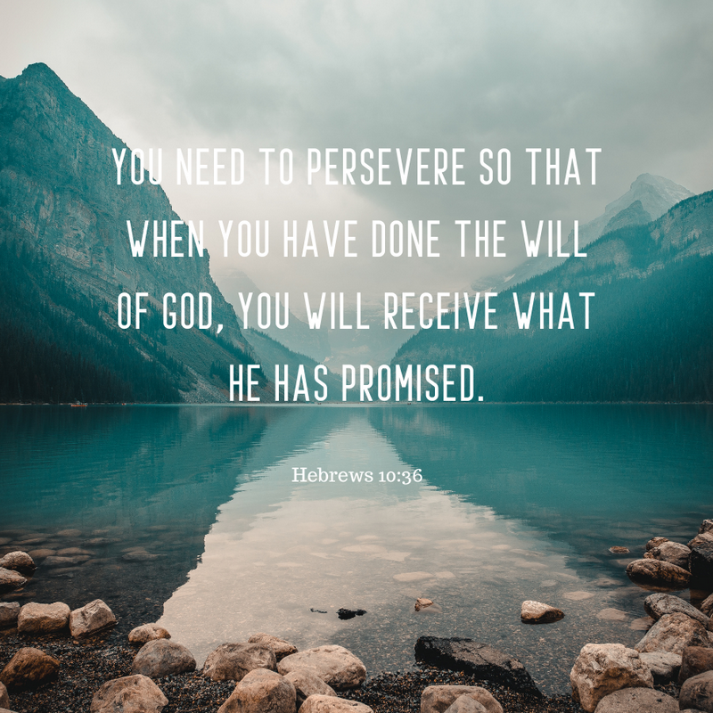 Hebrews 10:36