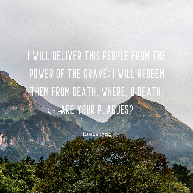 Hosea 13:14