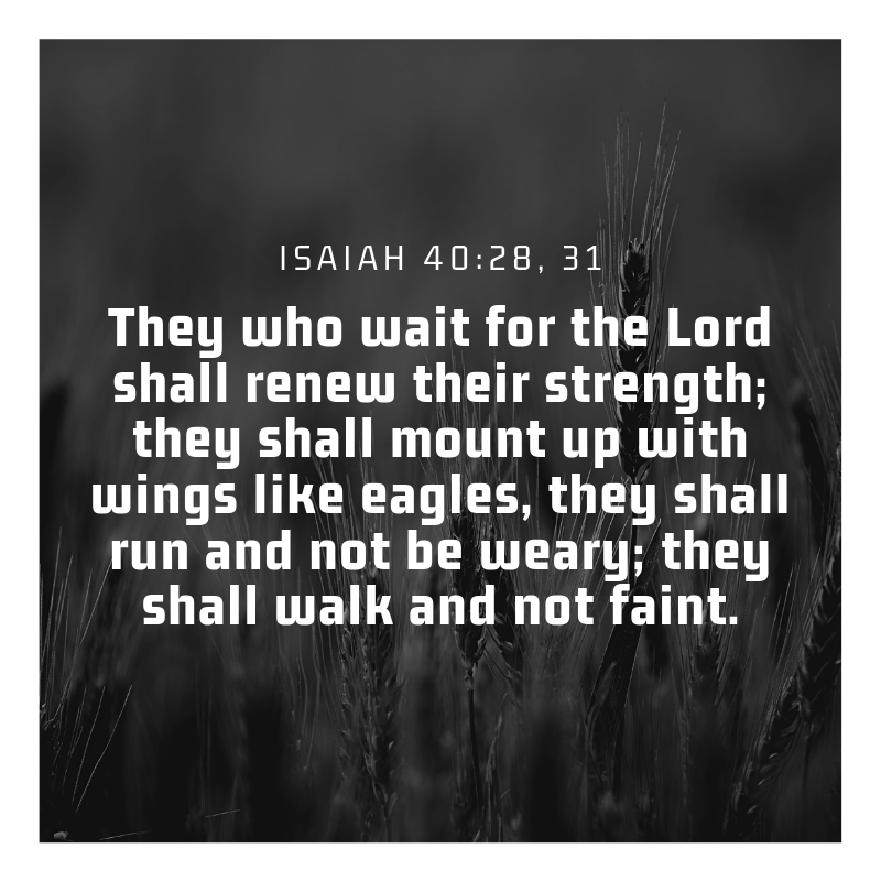 Isaiah 40:28, 31