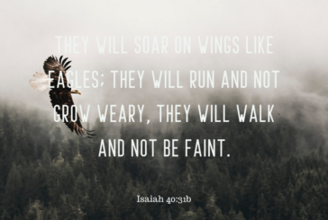 Isaiah 40:31b