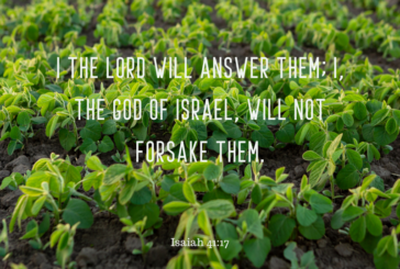 Isaiah 41:17