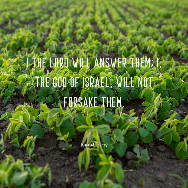 Isaiah 41:17