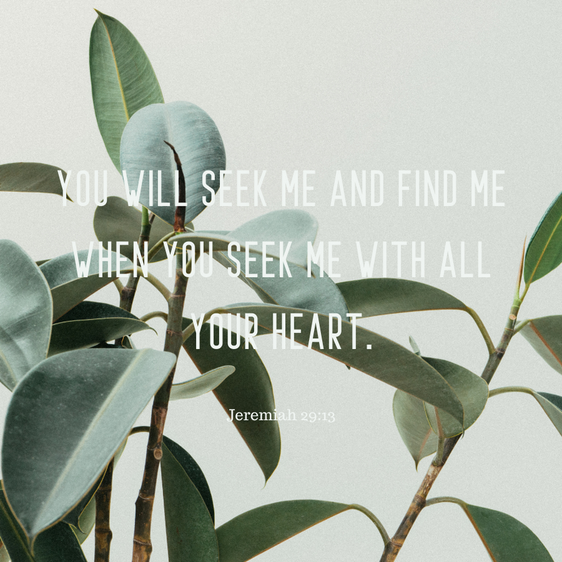 Jeremiah 29:13