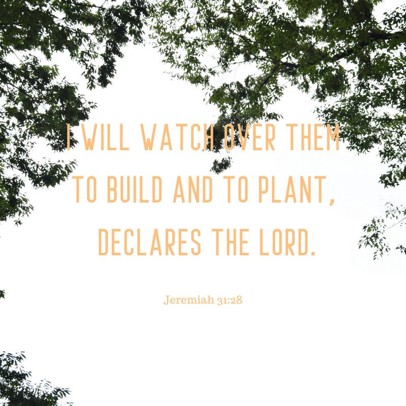 Jeremiah 31:28