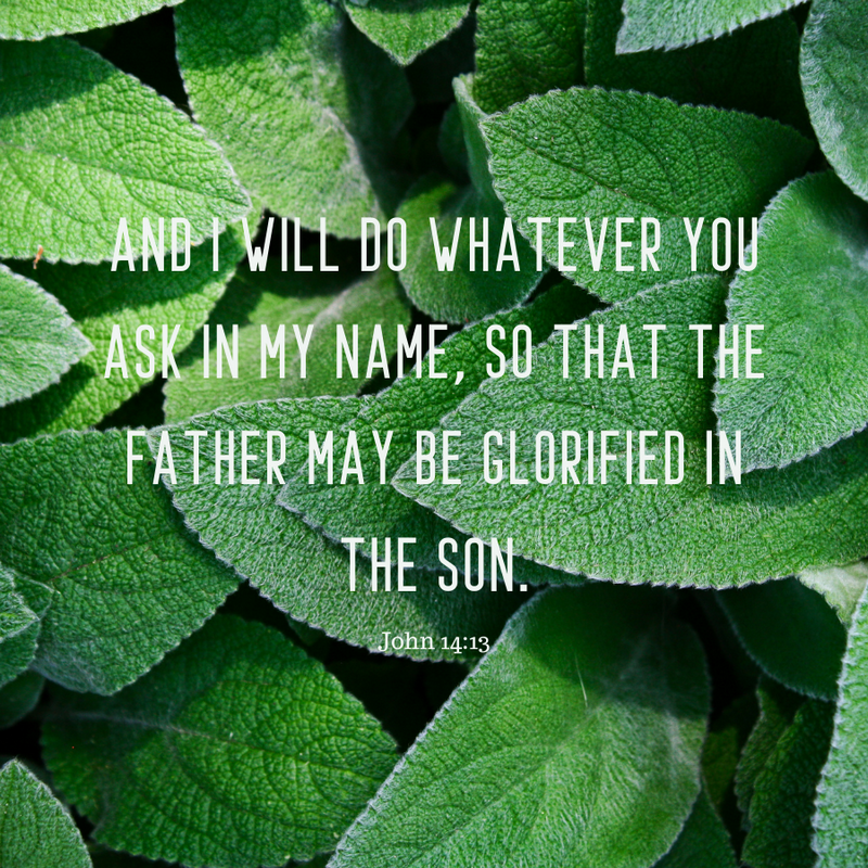John 14:13