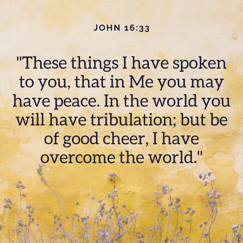 John 16:33