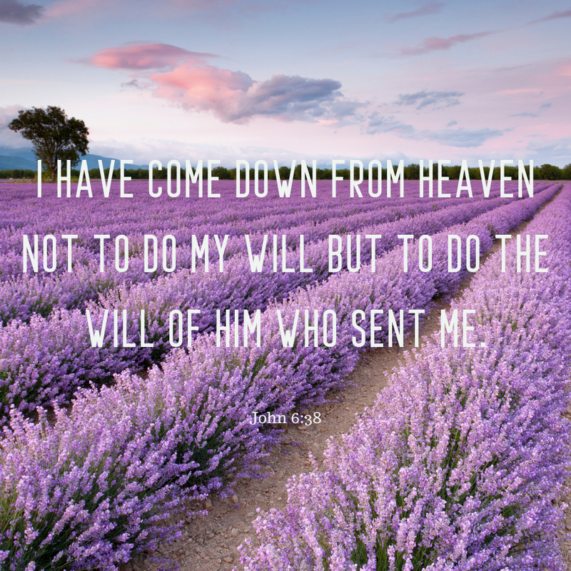 John 6:38
